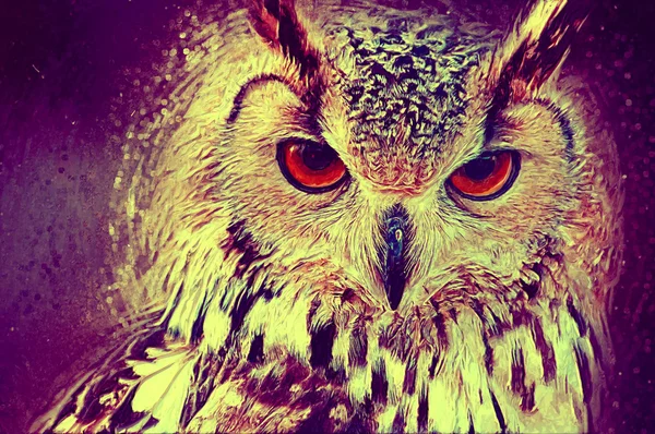 Owl portrait. Digital paint — Stock Photo, Image