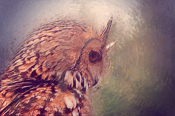 Owl closeup portrait. Drawn illustration — Stock Photo, Image