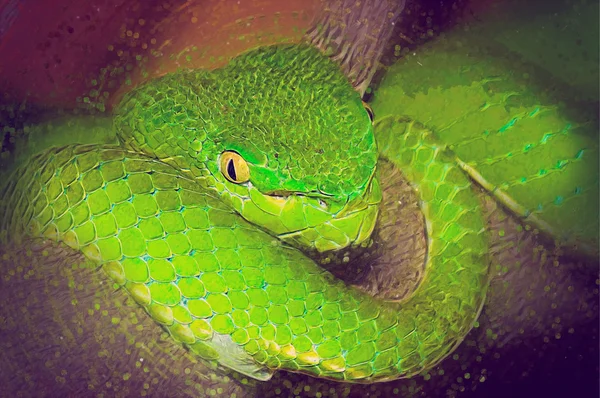 Python porträtt. Dragna illustration — Stockfoto