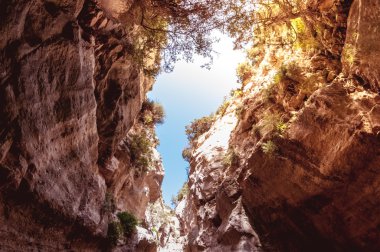 Avakas gorge. Baf bölgesi, Kıbrıs