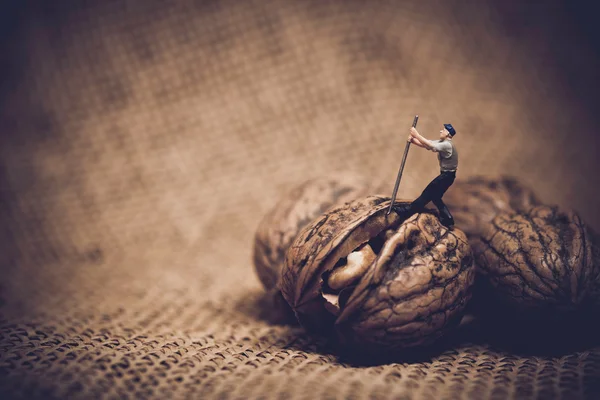 Miniature worker with a crowbar trying to open a walnut — Stock Photo, Image