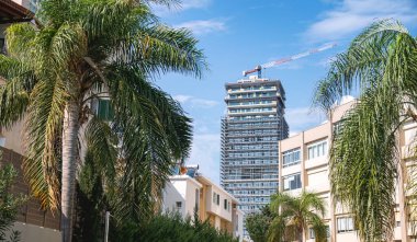 Kıbrıs 'ın Limasol kentindeki palmiye ağaçlarının arkasında, güneşli bir günde modern gökdelende çalışan bir vinç.