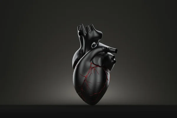 Still life human heart. Contains clipping path — Stock Photo, Image