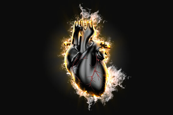 Flaming human heart. 3d illustration. Contains clipping path