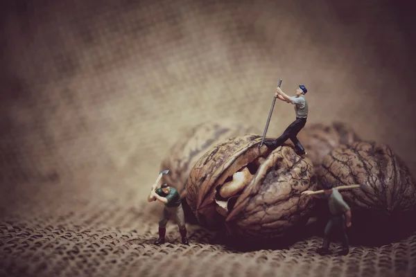 Miniature worker with a crowbar trying to open a walnut. Color t — Stock Photo, Image