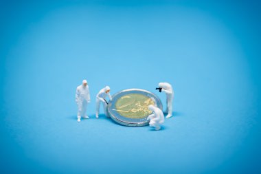 İki euro coins uzmanı tarafından kontrol. 