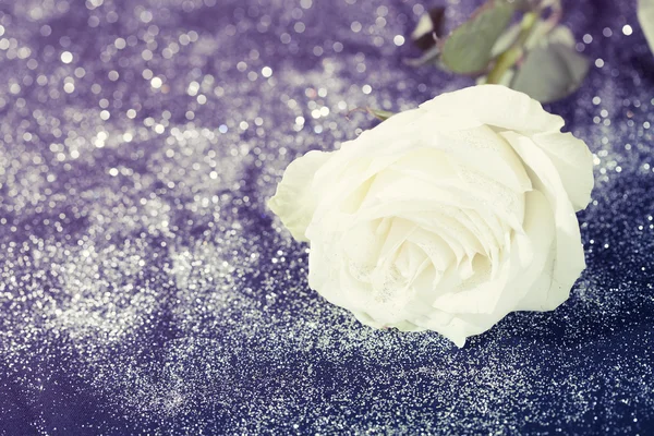 輝くキラキラ背景に白いバラ — ストック写真