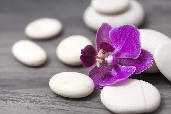 White spa stones and oriental flower — Stock Photo, Image