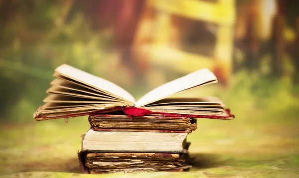 Old, magic, fairytale books — Stock Photo, Image