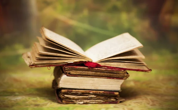 Oude, magische, sprookjesachtige boeken — Stockfoto