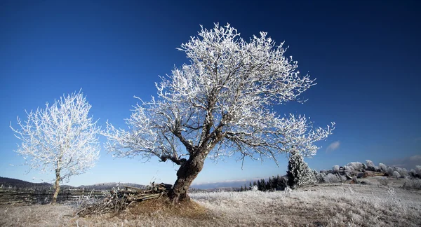 Hoarfrost coperto paesaggio invernale — Foto Stock