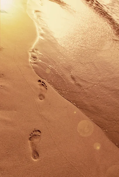 Footsteps in the sand — Stock Photo, Image