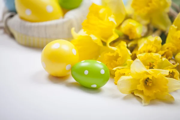 Tle Wielkanoc pisanki i żółte kwiaty — Zdjęcie stockowe
