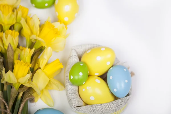 Easter backgound off painted eggs and yellow flowers — Stock Photo, Image