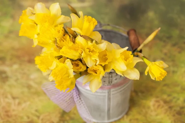 Flores amarelas de narciso em balde — Fotografia de Stock