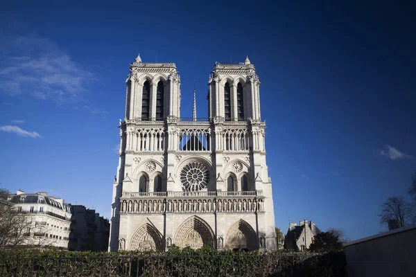 Die Kathedrale Notre Dame — Stockfoto