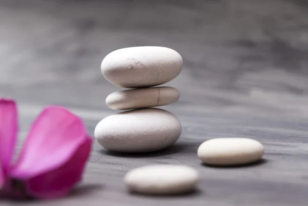 Spa ainda vida com orquídea rosa e pedra zen branca — Fotografia de Stock