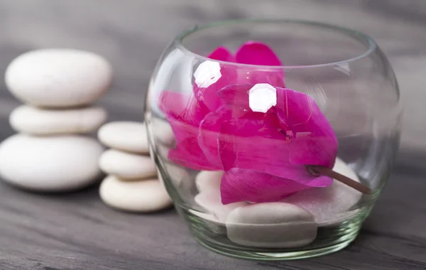 Spa stones and pink flower — Stock Photo, Image