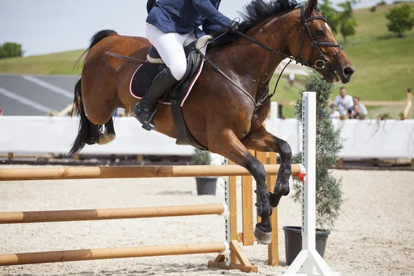 Cavaliere sul suo destriero allo spettacolo equestre — Foto Stock