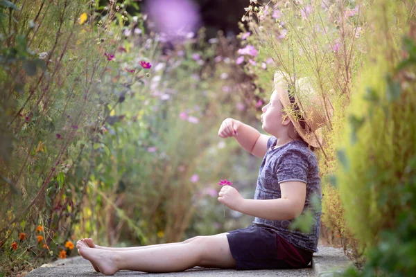 Liten Bedårande Flicka Sitter Färgglada Blomma Trädgård Njuter Hösten Solljus — Stockfoto