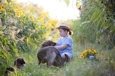 Renkli çiçek bahçesinde oturan küçük sevimli kız köpeğiyle sonbahar günışığının tadını çıkarıyor..