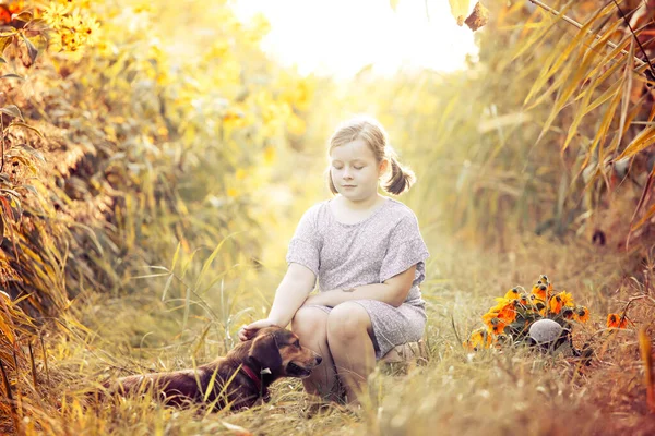 Renkli Çiçek Bahçesinde Oturan Küçük Sevimli Kız Köpeğiyle Sonbahar Günışığının — Stok fotoğraf