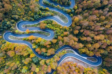 Sonbaharda insansız hava aracından manzaralı kıvrımlı bir yol göründü