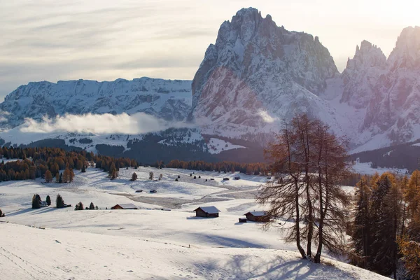 Verschneite Winterlandschaft Auf Der Seiser Alm Dolomiten Italien Winterurlaubsziel — Stockfoto