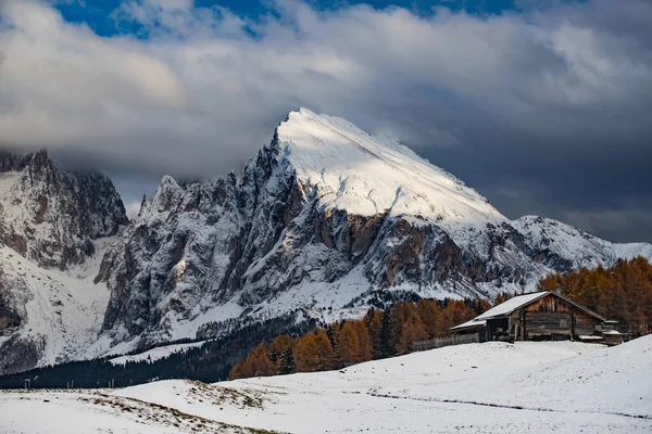Χιονισμένο Χειμερινό Τοπίο Στο Alpe Siusi Δολομίτες Ιταλία Χειμερινές Διακοπές — Φωτογραφία Αρχείου