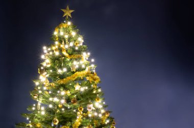 Mavi zemin üzerinde güzel dekore edilmiş Noel ağacı fotokopi alanı var.