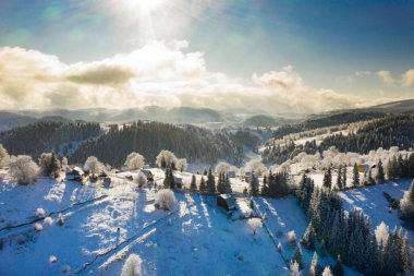 Transilvanya 'da donuk ağaçlarla donuk kış manzarası. Kış geliyor konsept.