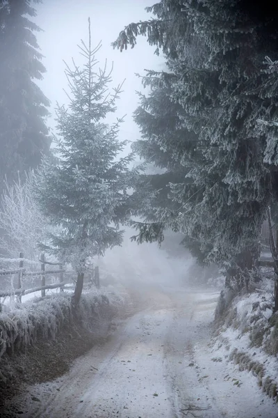 Fantastische Winterlandschaft Mit Verschneiten Straßen Und Gefrorenen Bäumen Weihnachts Und — Stockfoto