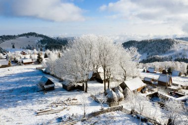 Transilvanya 'da donuk ağaçlarla donuk kış manzarası. Kış geliyor konsept.