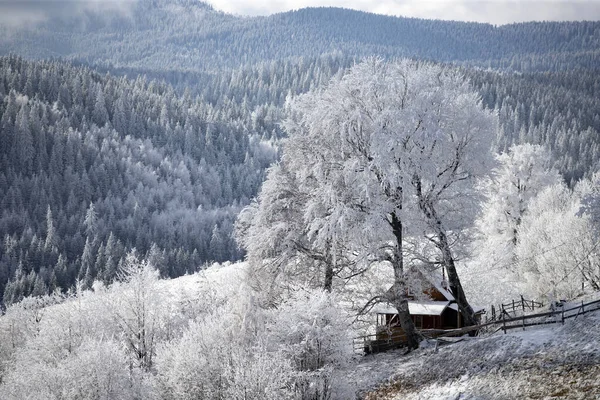 Weihnachten Hintergrund Der Verschneiten Winterlandschaft Mit Schnee Oder Raureif Bedeckte — Stockfoto