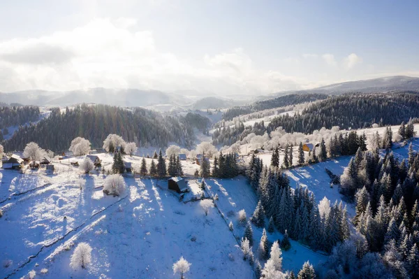 Вид Воздуха Идиллический Зимний Пейзаж Замерзшими Деревьями Трансильвании Грядет Зима — стоковое фото