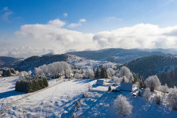 Veduta Aerea Idilliaco Paesaggio Invernale Con Alberi Ghiacciati Transilvania Inverno — Foto Stock