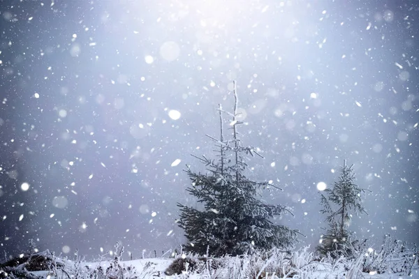 Fondo Navideño Paisaje Nevado Invierno Con Abetos Cubiertos Nieve Heladas —  Fotos de Stock