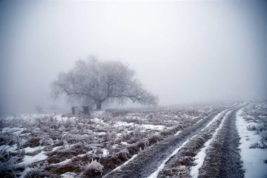 Karlı yol ve donmuş ağaçlarla muhteşem bir kış manzarası. Noel tatili ve kış tatili konsepti