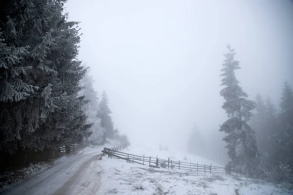 Fantastyczny Zimowy Krajobraz Śnieżną Drogą Zamarzniętymi Drzewami Koncepcja Świąt Bożego — Zdjęcie stockowe