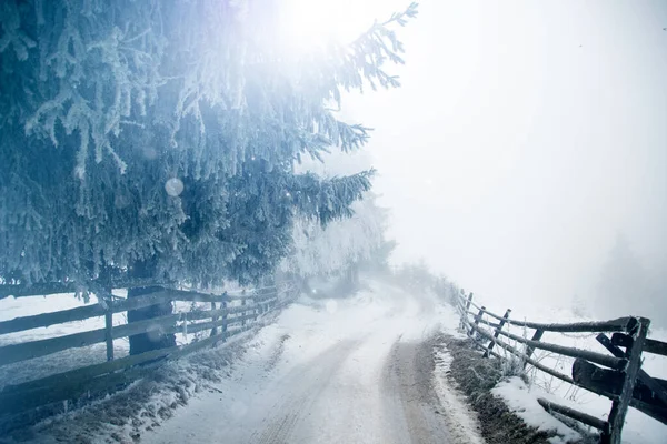 Fantasztikus Téli Táj Havas Úttal Fagyott Fákkal Karácsonyi Nyaralás Téli — Stock Fotó