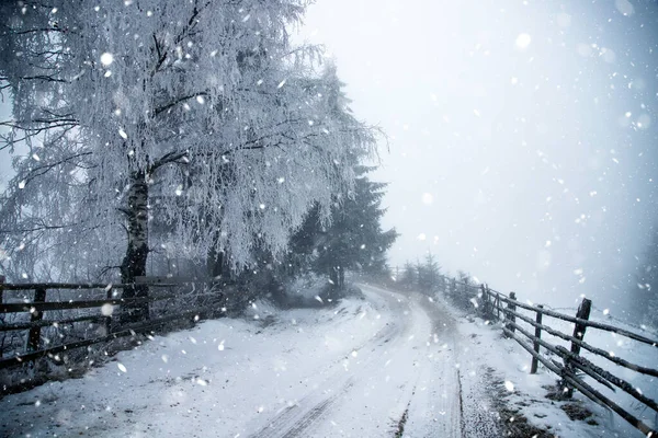 Fantastico Paesaggio Invernale Con Strada Innevata Alberi Ghiacciati Vacanze Natale — Foto Stock