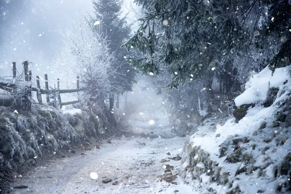 雪道と凍結木と幻想的な冬の風景 クリスマス休暇と冬の休暇のコンセプト — ストック写真