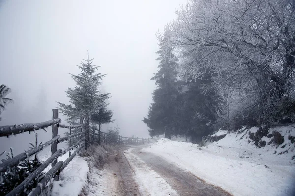 Fantástico Paisaje Invernal Con Carretera Nevada Árboles Congelados Vacaciones Navidad — Foto de Stock