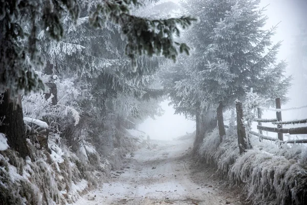 Fantástica Paisagem Inverno Com Estrada Nevada Árvores Congeladas Natal Feriado — Fotografia de Stock