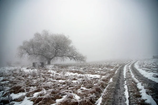 Fantastische Winterlandschaft Mit Verschneiten Straßen Und Gefrorenen Bäumen Weihnachts Und — Stockfoto