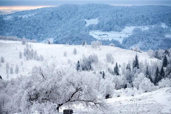 Sfondo Natalizio Del Paesaggio Invernale Innevato Con Neve Alberi Ricoperti — Foto Stock