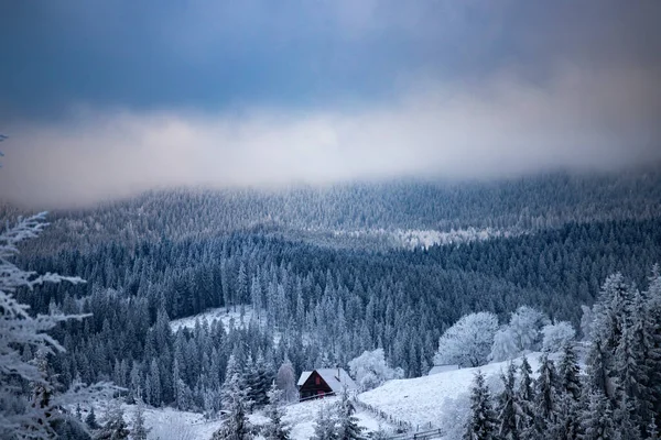 Fantastico Paesaggio Invernale Con Strada Innevata Alberi Ghiacciati Vacanze Natale — Foto Stock