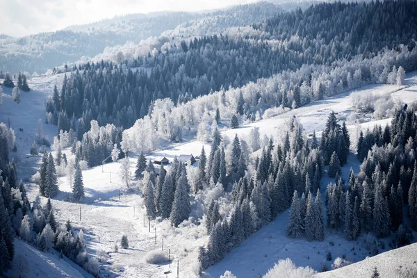 Sfondo Natalizio Del Paesaggio Invernale Innevato Con Neve Abeti Ricoperti — Foto Stock
