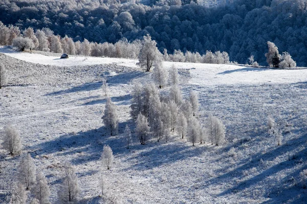 Sfondo Natalizio Del Paesaggio Invernale Innevato Con Neve Alberi Ricoperti — Foto Stock