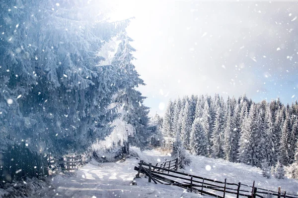Fantastico Paesaggio Invernale Con Strada Innevata Alberi Ghiacciati Vacanze Natale — Foto Stock